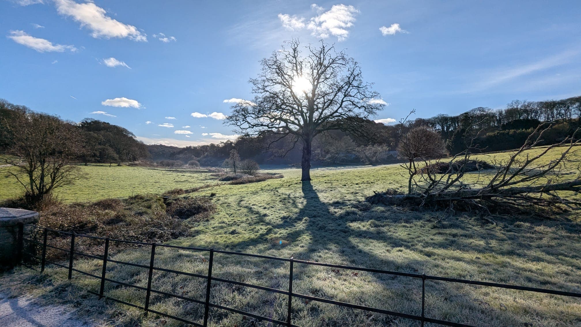 Finding Joy in Small Moments